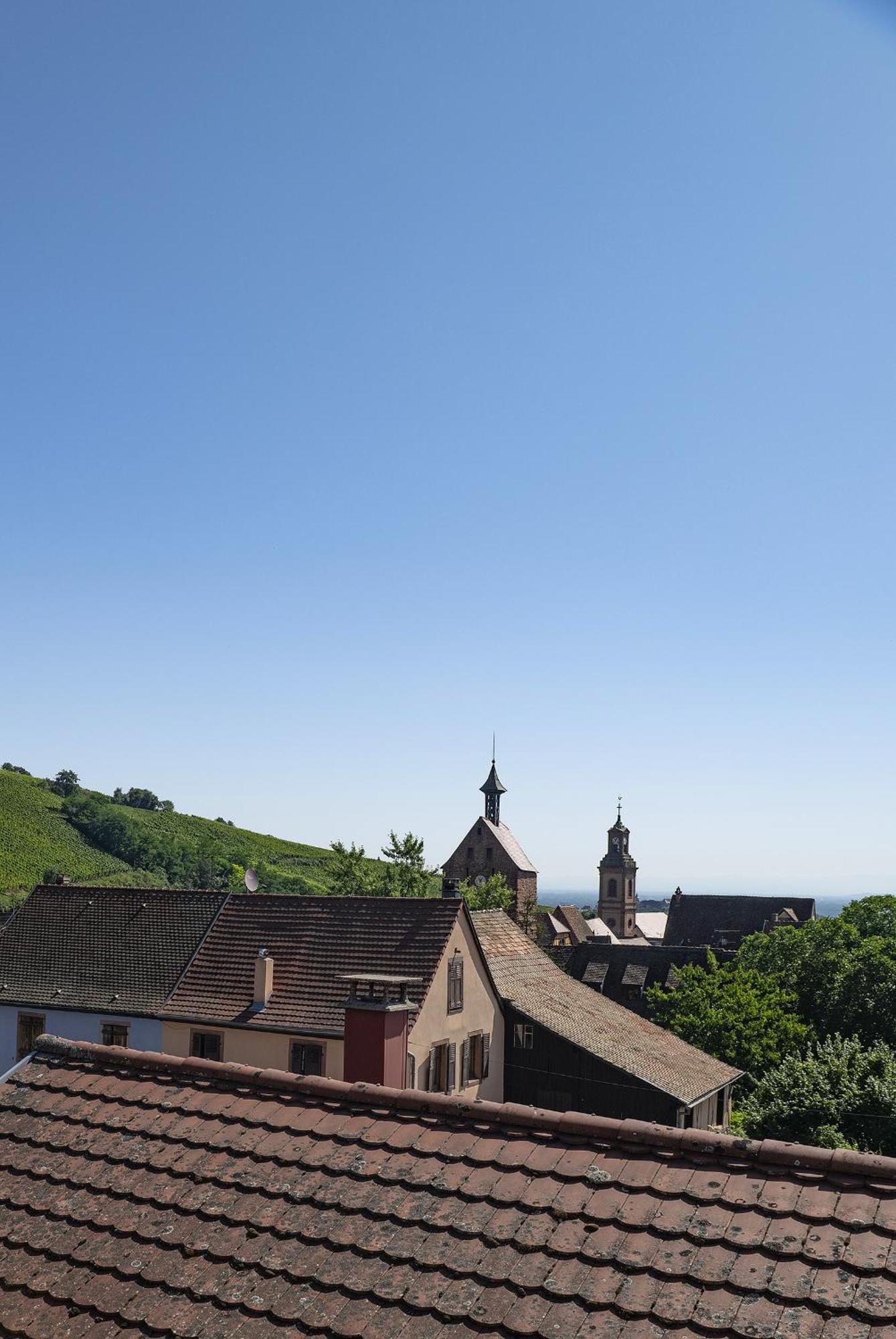 Riesling - Vue Imprenable Sur Le Vignoble - Renove Recemment - Parking Gratuit Lejlighed Riquewihr Eksteriør billede