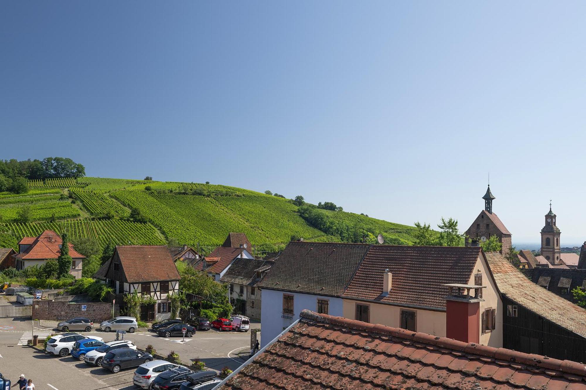 Riesling - Vue Imprenable Sur Le Vignoble - Renove Recemment - Parking Gratuit Lejlighed Riquewihr Eksteriør billede