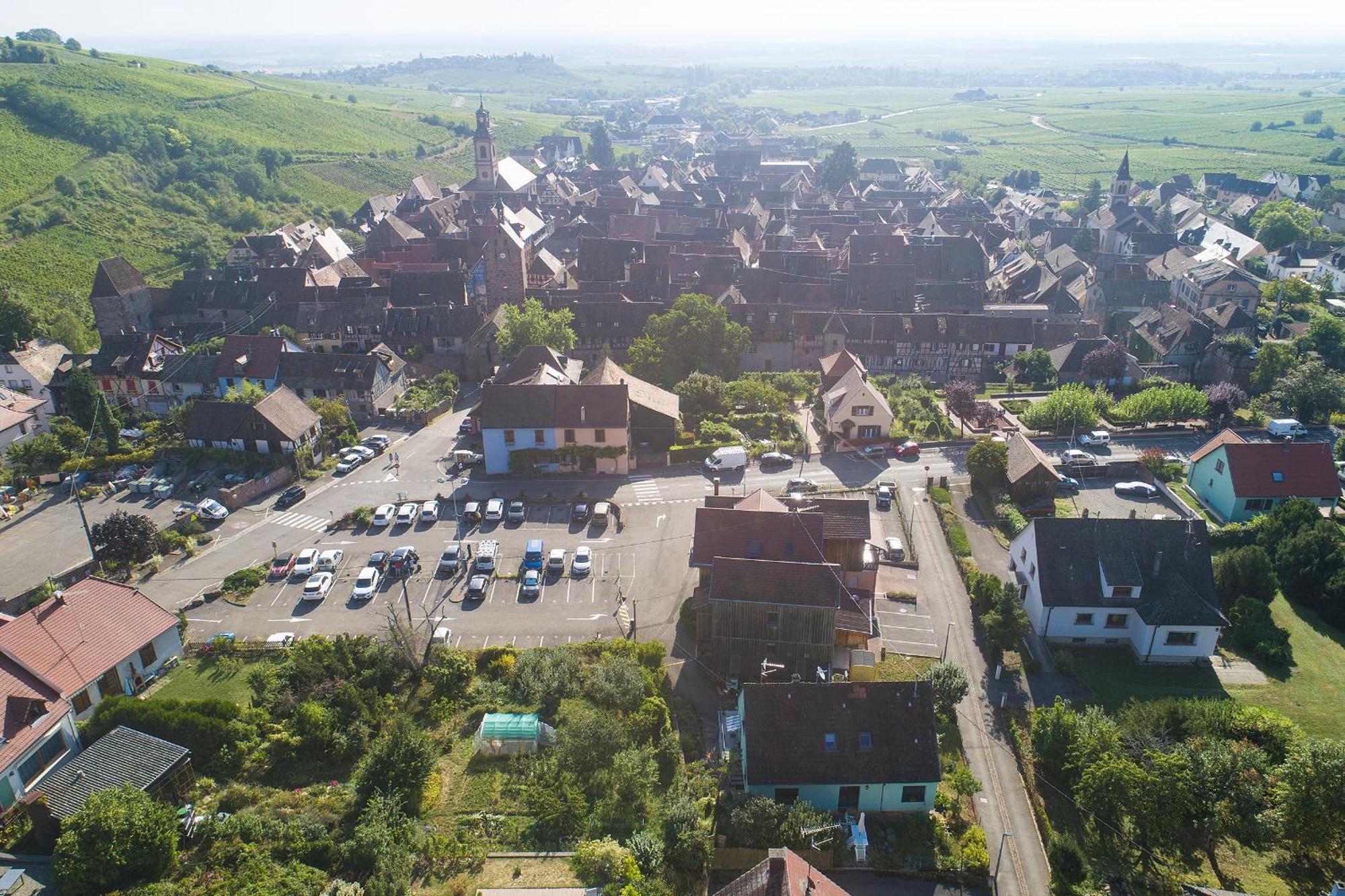 Riesling - Vue Imprenable Sur Le Vignoble - Renove Recemment - Parking Gratuit Lejlighed Riquewihr Eksteriør billede