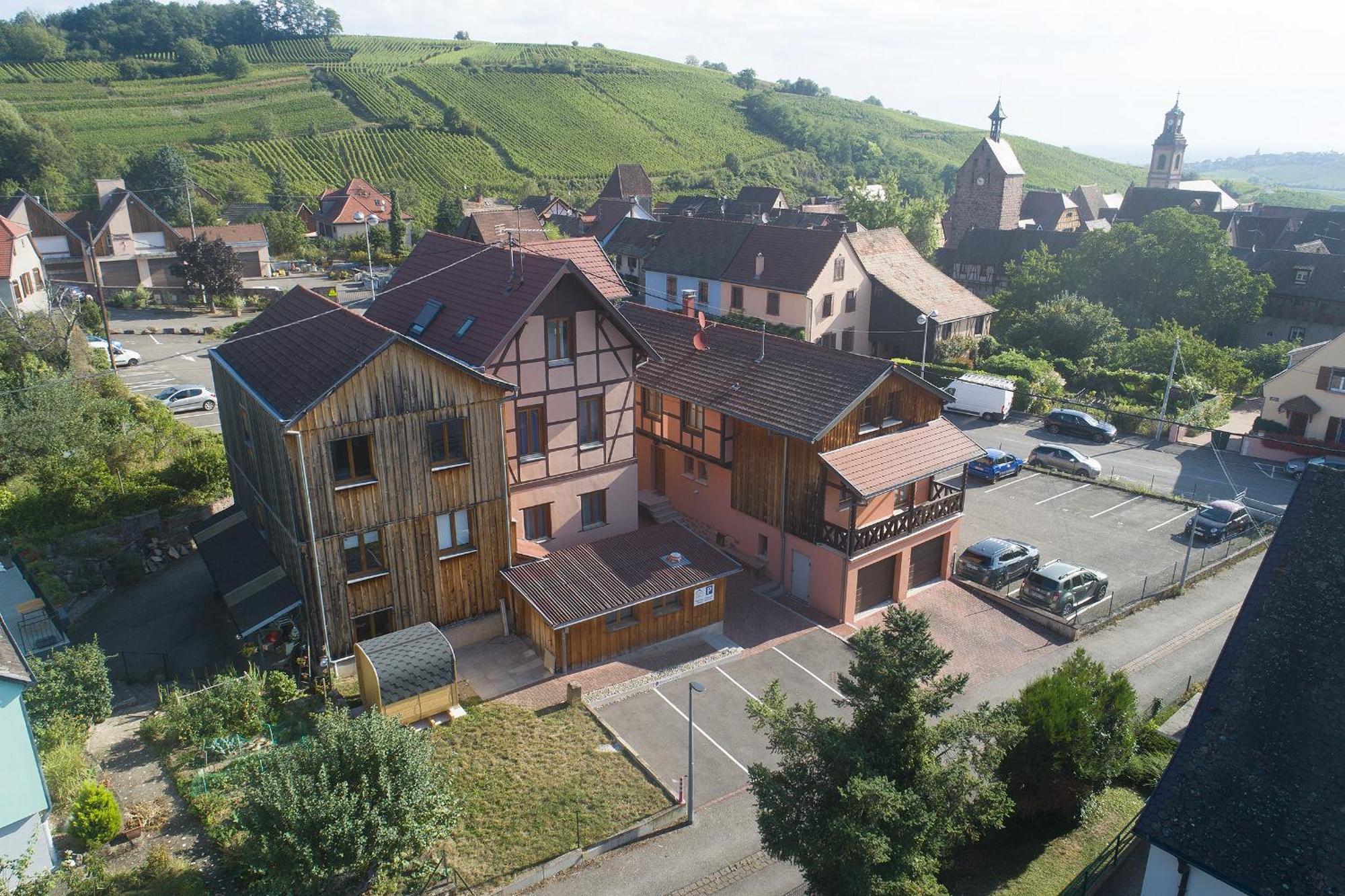 Riesling - Vue Imprenable Sur Le Vignoble - Renove Recemment - Parking Gratuit Lejlighed Riquewihr Eksteriør billede